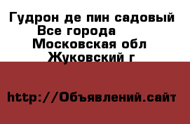 Гудрон де пин садовый - Все города  »    . Московская обл.,Жуковский г.